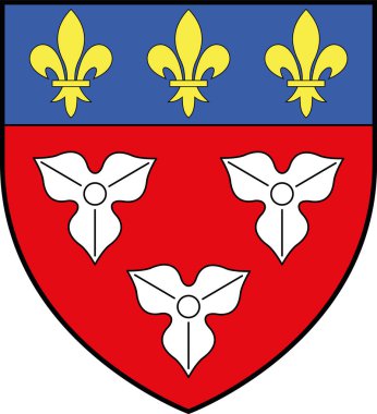 Fransız şehri ORLANS 'ın resmi arma vektör illüstrasyonu, FRANCE