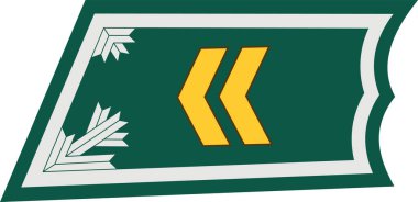 Fin ordusunun askeri rütbe rütbesinin rütbe rütbesi ALIKERSANTTI (CORPORAL) için astsubayların saha üniforması üzerine omuz yastığı.