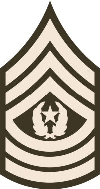 Omuz yastığı, Ordu Yeşillik Üniforması 'nda Birleşik Devletler Ordusu Başçavuşu rütbesine sahip.