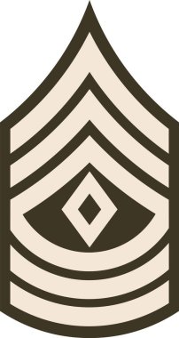 Omuz yastığı, Amerikan ordusunun yeşil üniformalı birinci çavuşu rütbesi.