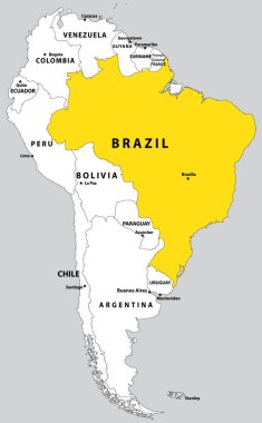 Güney Amerika 'nın (Latin) izole edilmiş arka planındaki bomboş siyasi haritasının içindeki BRAZIL' in vurgulanmış haritası
