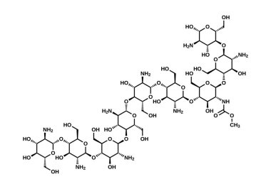 Chitosan structural formula, vector illustration clipart