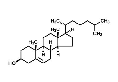 Kolesterol yapısal formül, vektör illüstrasyonu