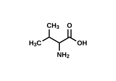 Amino asit valin yapısal formülü, vektör illüstrasyonu