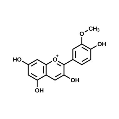 Peonidin structural formula, vector illustration clipart