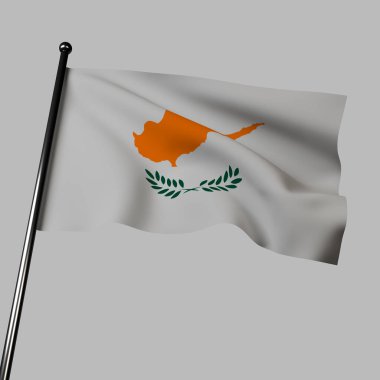 Gri renkte gösterilen Kıbrıs bayrağında adanın bakır renkli silueti ve iki zeytin dalı bulunan beyaz bir tarla yer alıyor. Renkler barış ve bakır üretimini temsil ederken zeytin dalları barış umudunu temsil ediyor..