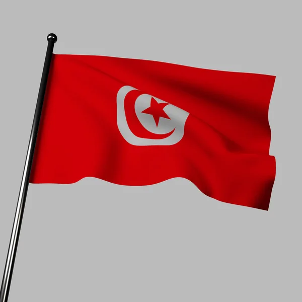 突尼斯的国旗优雅地在3D中飘扬 站在灰色的背景下 它的特点是一个红色的领域 中心有一个白色的圆圈 象征着太阳 国旗代表着勇气 纯洁和国家充满活力的精神 — 图库照片