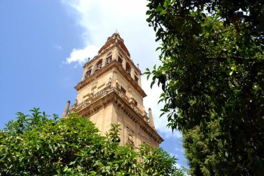 Mezquita de Cordoba 'lı Torre Campanario.