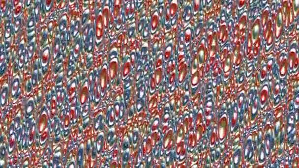 Fractal Complex Color Mandelbrot Detail Digital Artwork Creative Graphic Design — 图库视频影像