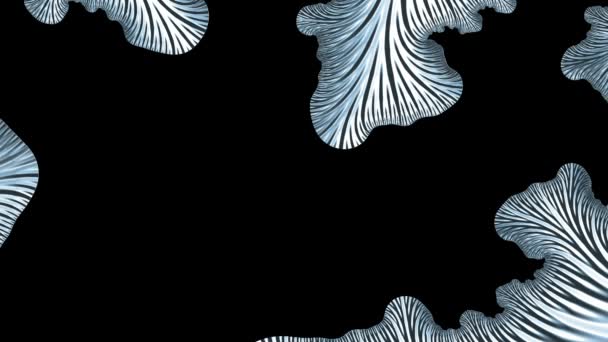 Fractal Complex Color Mandelbrot Detail Digital Artwork Creative Graphic Design — Stock videók