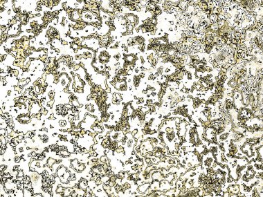 Fraktal kompleks renk desenleri - Mandelbrot set detayları, yaratıcı grafik için dijital sanat eserleri 