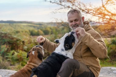 A happy pensioner in brown jacket  with English bulldogs on top of mountain, going for a walk in Peak District on sunny worm  day. Dog training. Free time in retirement.