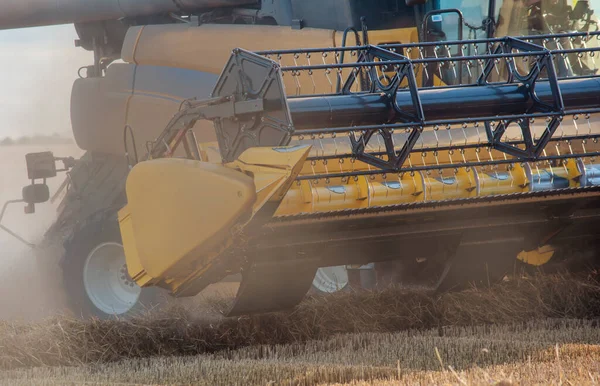 stock image Wheat harvesting in the summer season by a modern combine harvester. Farmers securing food supply and feeding the nation