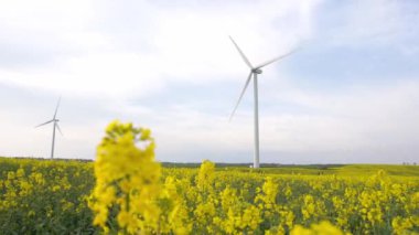 İngiltere 'de bulutlu mavi gökyüzüne karşı sarı bir tarlada yel değirmeni üreten bir elektrik.