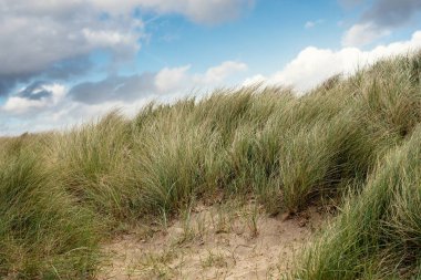 Kum tepelerinin ve Yorkshire İngiltere plajına giden kumlu yolun güzel manzarası.