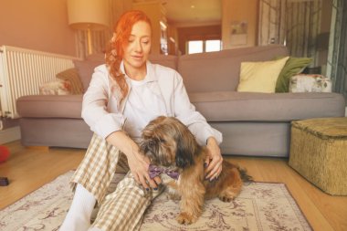 Shih tzu köpeğiyle evde eğlenen ve rahatlatan bir kadın. Ev kavramında boş ve mutlu zaman