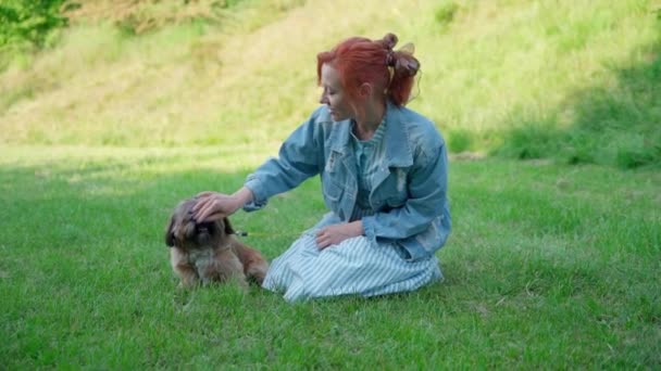 Mujer Divirtiéndose Relajándose Caminando Con Perro Shih Tzu Tiempo Libre — Vídeos de Stock