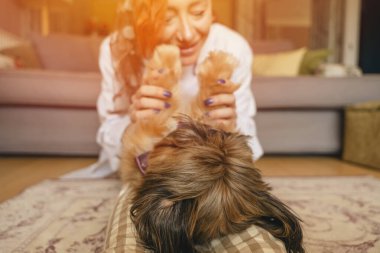 Shih tzu köpeğiyle evde eğlenen ve rahatlatan bir kadın. Ev kavramında boş ve mutlu zaman