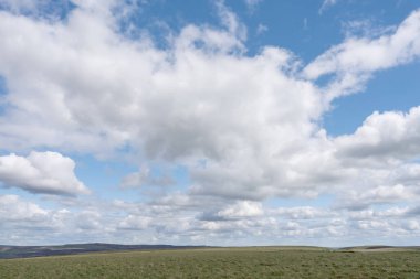Beyaz sirrus, tüylü bulutlar ilkbahara karşı açık mavi bulutlu gökyüzü İngiltere 'de güneşli bir günde