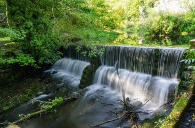 Sıcak yaz günlerinde yeşil bir ormanda akarsu. Peak District Ulusal Parkı.