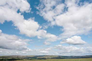 Beyaz sirrus, tüylü bulutlar ilkbahara karşı açık mavi bulutlu gökyüzü İngiltere 'de güneşli bir günde