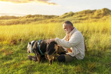 İngiliz buldogları çimlerin üzerinde dinlenen neşeli emekliler, sonbahar günü Galler 'de yürüyüşe çıkıyorlar. Köpeklerle seyahat et. Köpek eğitimi. Emeklilik kavramın kutlu olsun..
