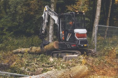 Ağaç kesiciler tarafından kesilmiş ve doğrama makinesinin yanına taşınmış petrol testereleriyle parçalara bölünmek için.