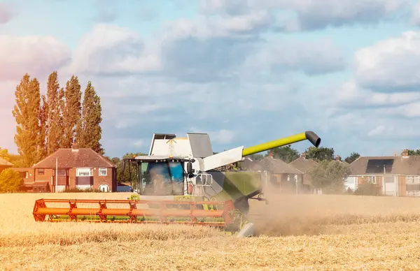 stock image Wheat harvesting in the summer season by a modern combine harvester. Farmers securing food supply and feeding the nation