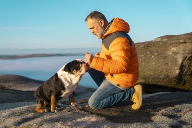 Yaşlı olgun bir adam köpeğiyle dağlarda yürüyüş yapıyor, sağlık, sağlıklı yaşam tarzı ve gülümseme için egzersiz yapıyor. Elinde buldogla oturmuş sakin bir günün tadını çıkaran yaşlı bir beyefendinin yüzü.