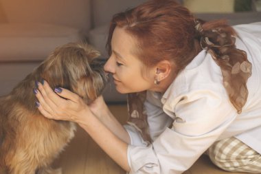 Shih tzu köpeğiyle evde eğlenen ve rahatlatan bir kadın. Ev kavramında boş ve mutlu zaman