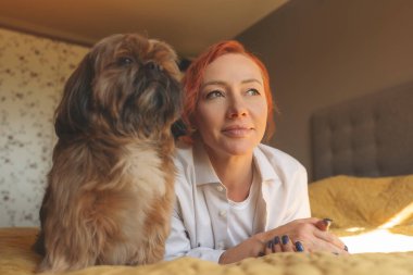 Shih tzu köpeğiyle evde eğlenen ve rahatlatan bir kadın. Ev kavramında boş ve mutlu zaman