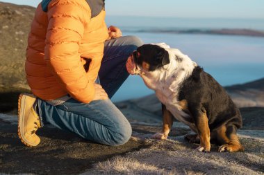 Yaşlı olgun bir adam köpeğiyle dağlarda yürüyüş yapıyor, sağlık, sağlıklı yaşam tarzı ve gülümseme için egzersiz yapıyor. Elinde buldogla oturmuş sakin bir günün tadını çıkaran yaşlı bir beyefendinin yüzü.