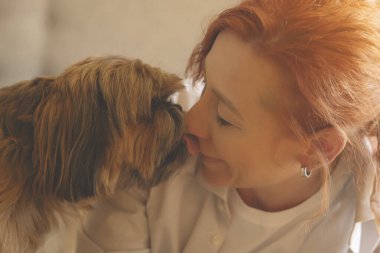 Shih tzu köpeğiyle evde eğlenen ve rahatlatan bir kadın. Ev kavramında boş ve mutlu zaman