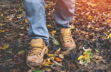 Ormandaki yüksek otların arasında sonbahar yürüyüşü. Ormanda yürüme mesafesinde.