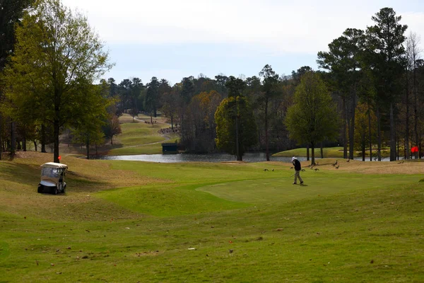Scenic View Met Golfbaan Landschap Bij Georgia Verenigde Staten — Stockfoto