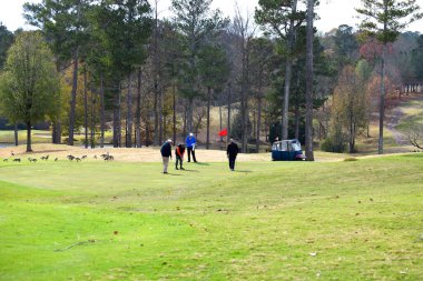 Golfçüler serin bir sonbahar gününde golf oynamanın keyfini çıkarıyorlar..