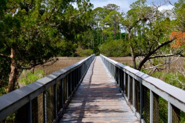 St. Augustine, Florida 'da tahta kaldırımlı güzel bir bataklık manzarası var..