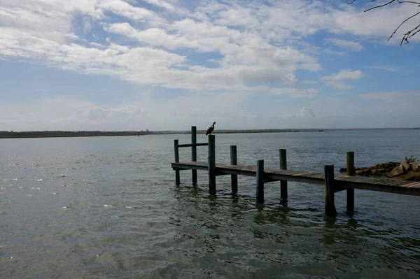 Lone Pelican River Dock Augustine Florida — Stock Photo, Image