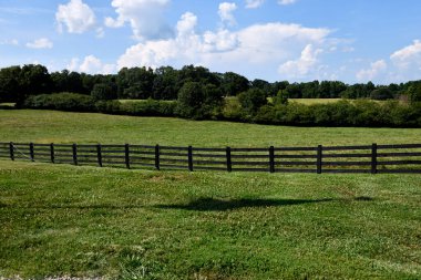 Gürcistan, ABD 'de çiftlik arazisini gösteren manzara.