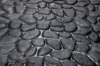 Tarihi Savannah, Georgia 'daki Cobblestone Caddesi.