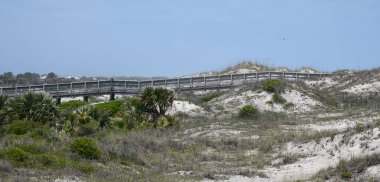 Florida okyanusunun sahil girişinde..