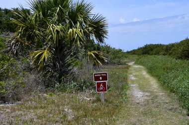 St. Park Florida 'da bataklık yolu