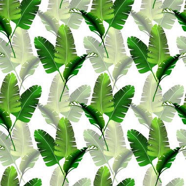 Palmiye yaprakları pürüzsüz. El çizimi dijital model. Tropik yapraklar. Egzotik çizimler.
