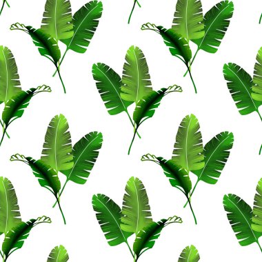 Palmiye yaprakları pürüzsüz. El çizimi dijital model. Tropik yapraklar. Egzotik çizimler.