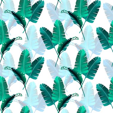 Palmiye yaprakları pürüzsüz. El çizimi dijital model. Tropik yapraklar. Egzotik çizimler.