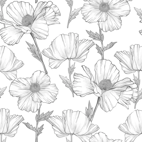 Flores Brancas Poppy Padrão Sem Costura Estilo Esboço Desenhado Mão — Fotografia de Stock