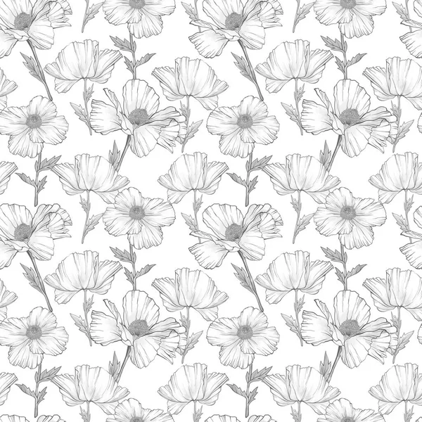 Witte Papaver Bloemen Naadloos Patroon Handgetekende Schetsstijl Natuur Achtergrond Bloemen — Stockfoto
