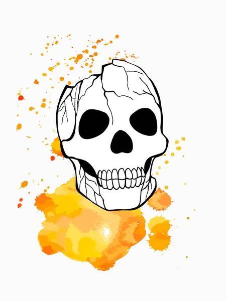 Halloween Skull Jako Designový Prvek Ručně Kreslená Digitální Ilustrace Izolováno — Stockový vektor
