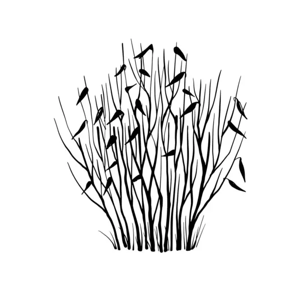 Arbusto Invernal Sin Hojas Dibujo Dibujado Mano Arte Línea Elemento — Archivo Imágenes Vectoriales