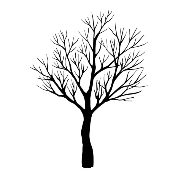 Blattloser Winterbaum Handgezeichnete Skizze Linienkunst Schwarz Weißes Designelement Auf Weißem — Stockvektor